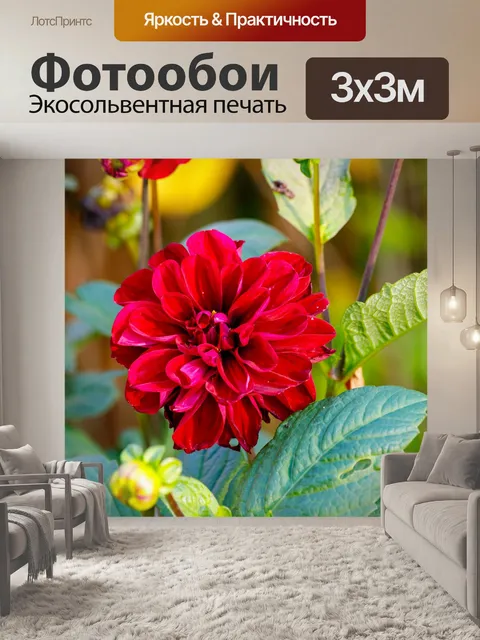 Фотообои Ботанический сад в Быдгоще