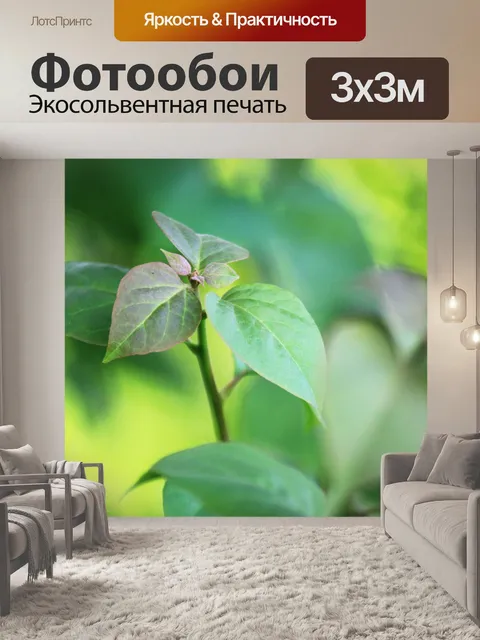 Фотообои Листья фона 02