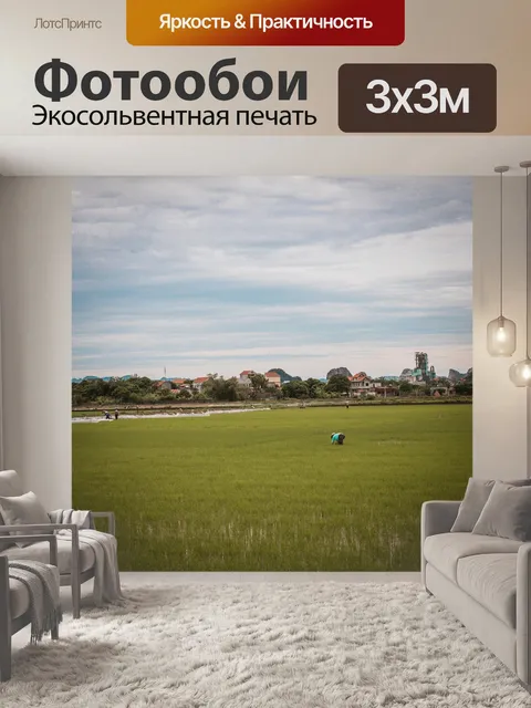 Фотообои Рисовые поля