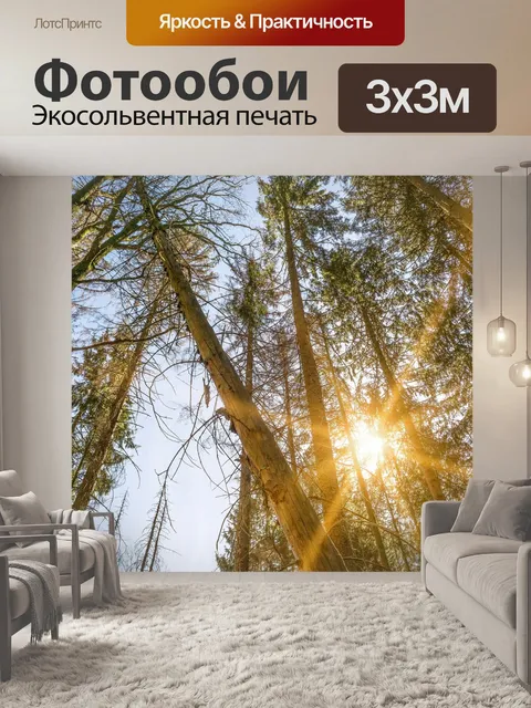 Фотообои Деревья