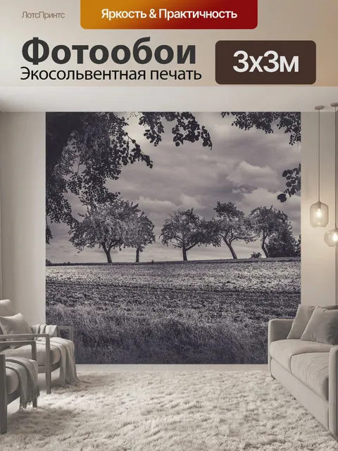 Фотообои Деревья