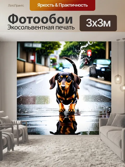 Фотообои такса, скользящая по улице во время дождя, отражения на земле