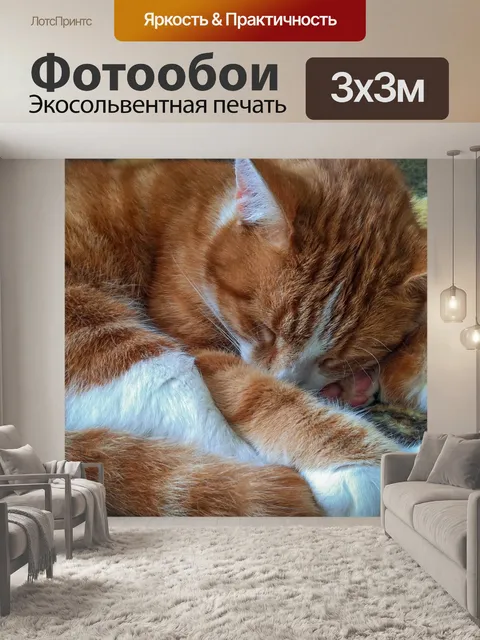 Фотообои Кошка