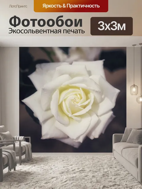 Фотообои Макрос