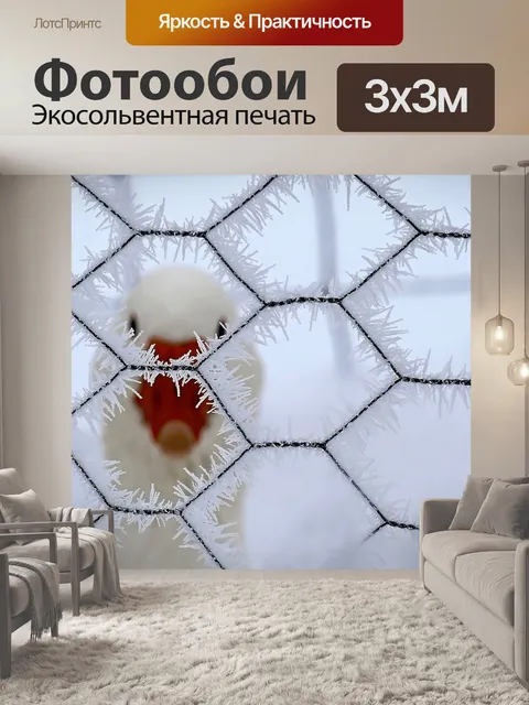Фотообои Природа