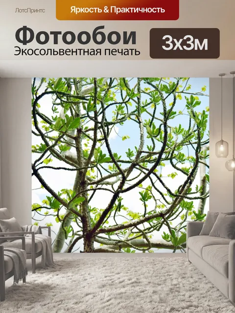 Фотообои Призрак леса