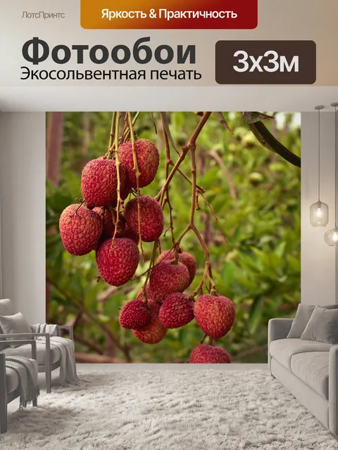 Фотообои Личи