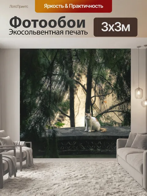 Фотообои Кошка