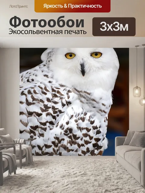 Фотообои Птица