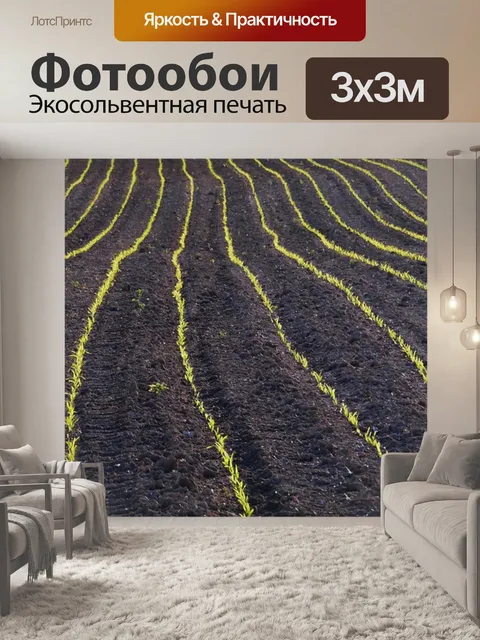 Фотообои Поле