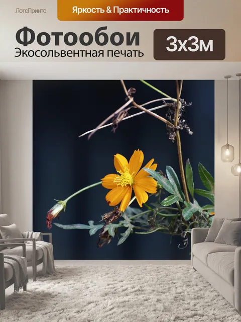 Фотообои Цветы
