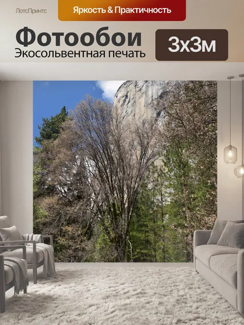 Фотообои Йосемитский Гранит Клифф