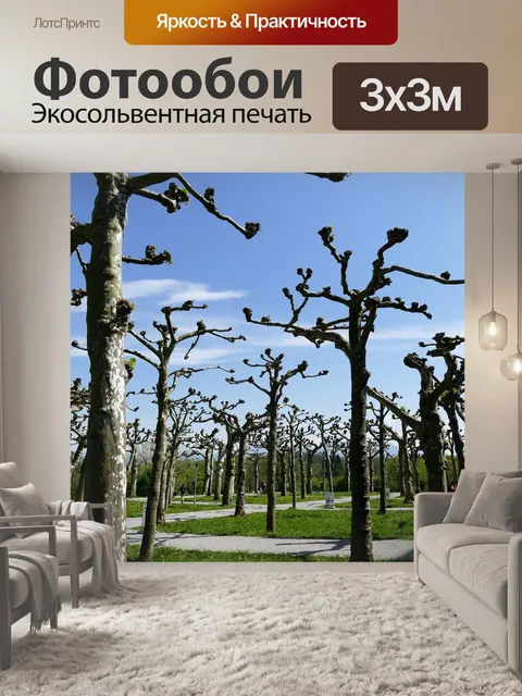 Фотообои Обрезка деревьев