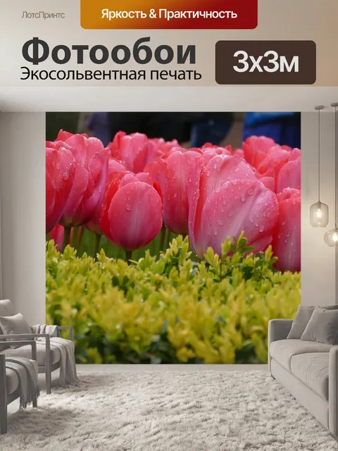 Фотообои Тюльпаны