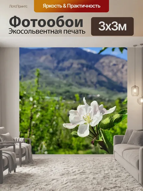 Фотообои Цветок