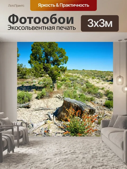 Фотообои Красные цветы в Айдахо