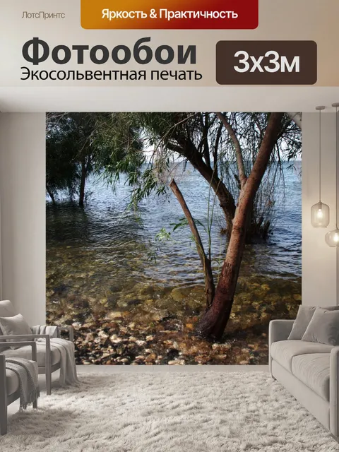 Фотообои Деревья, стоящие в воде