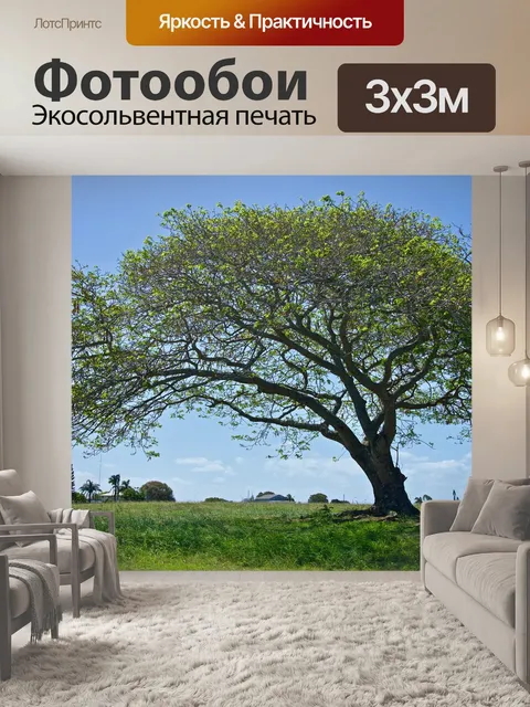 Фотообои Дерево