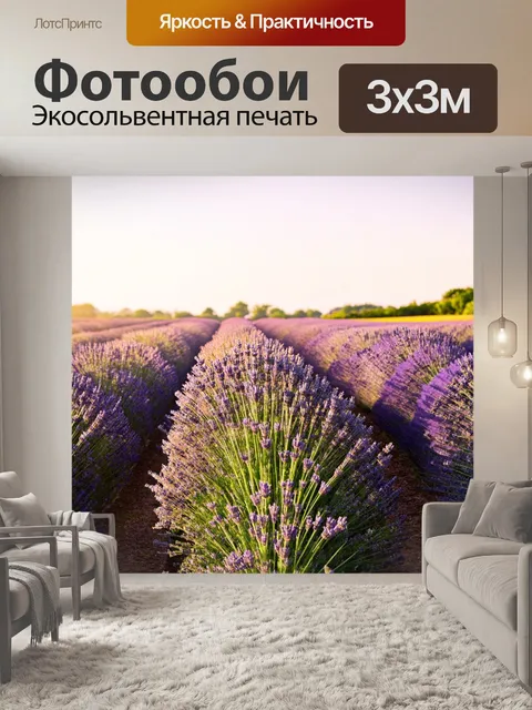 Фотообои япония: поля лаванды, простирающиеся до горизонта, с мягким светом заката, создающим атмосферу спокойствия