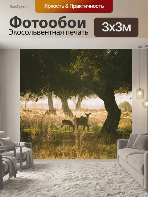 Фотообои Олень
