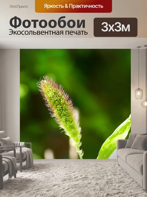 Фотообои Цветок