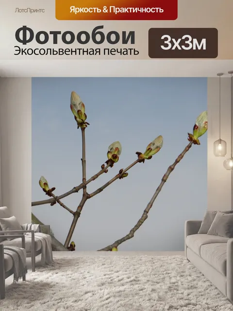 Фотообои Каштан почки