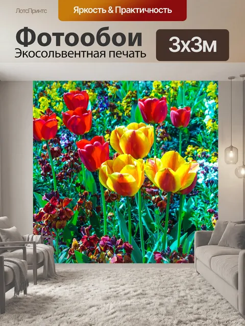 Фотообои Цветы луговые