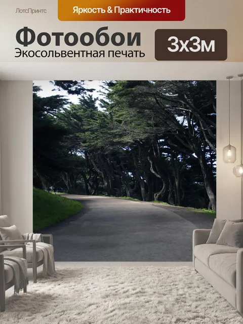Фотообои Путь через кипарисовый лес
