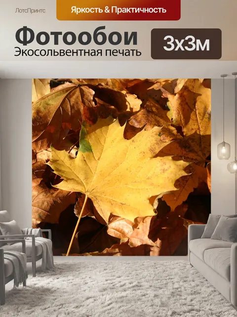 Фотообои Парк