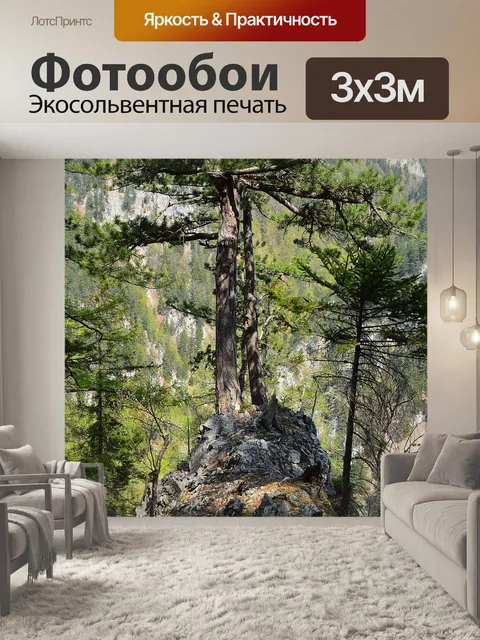 Фотообои Дерево