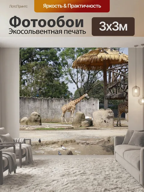 Фотообои Жирафа