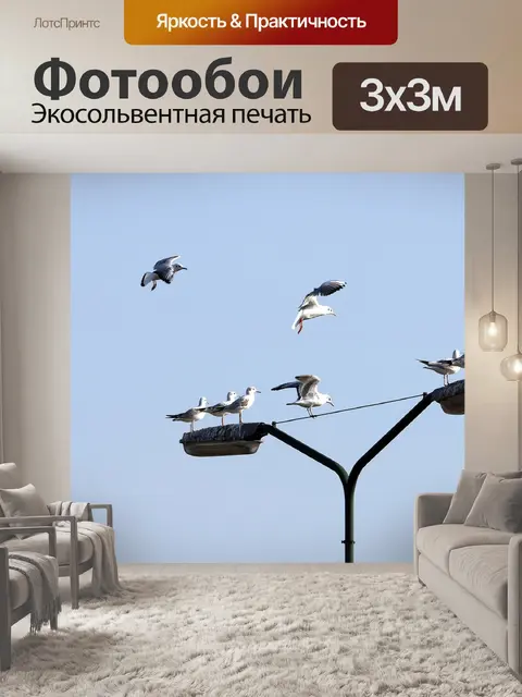 Фотообои Птицы