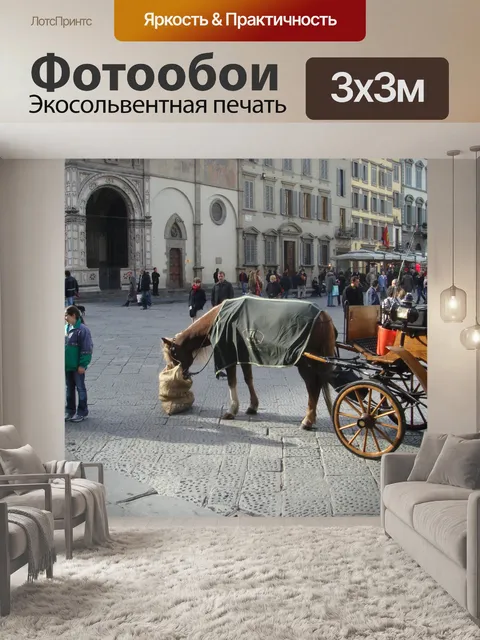 Фотообои Лошадь в Флоренции