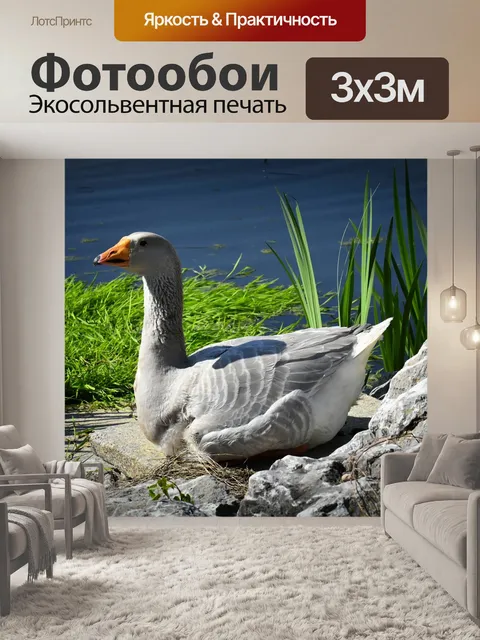 Фотообои Гусь