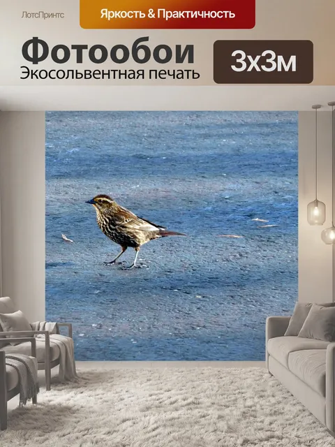Фотообои Птица