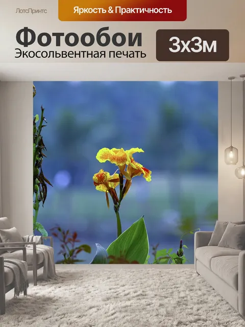 Фотообои Цветок