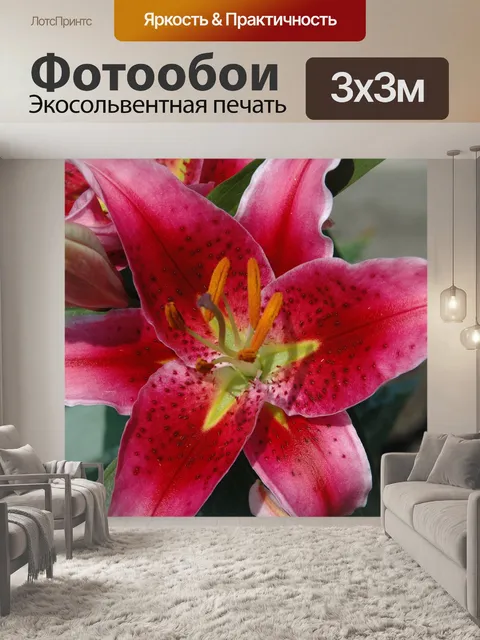 Фотообои Цветы