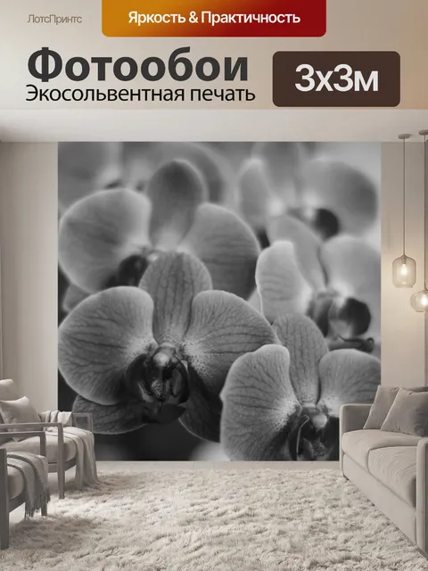 Фотообои Орхидеи