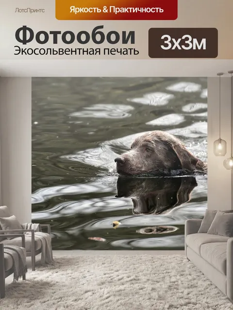 Фотообои Собака