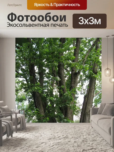 Фотообои Деревья