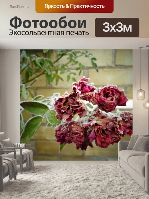 Фотообои Розы