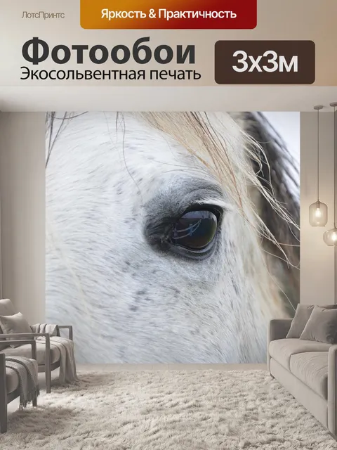 Фотообои Лошадь
