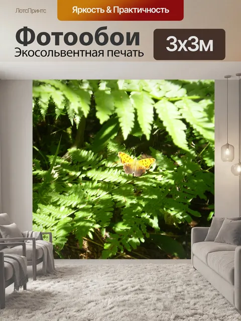 Фотообои Бабочка на папоротник