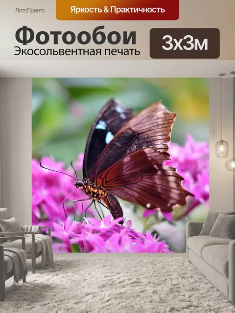 Фотообои Бабочка