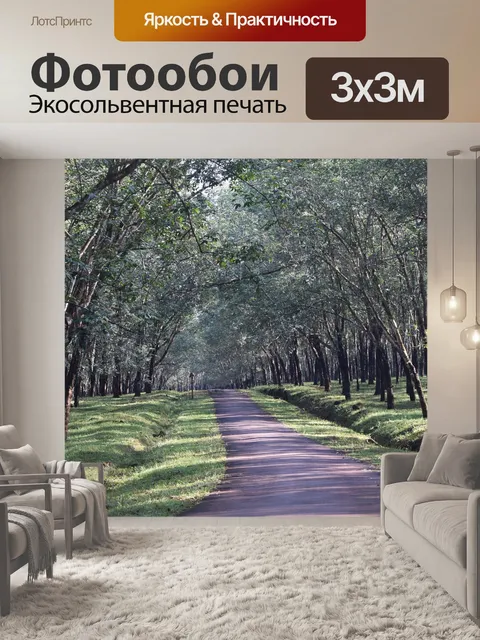 Фотообои Резиновые лес
