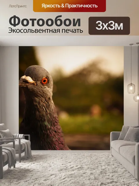 Фотообои Птица