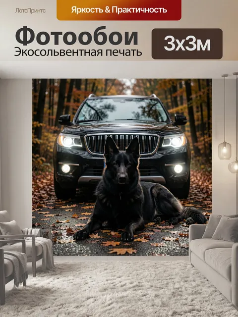 Фотообои Черная овчарка у внедорожника