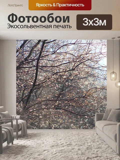 Фотообои Природа