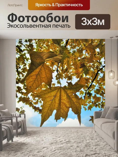 Фотообои платан осенью