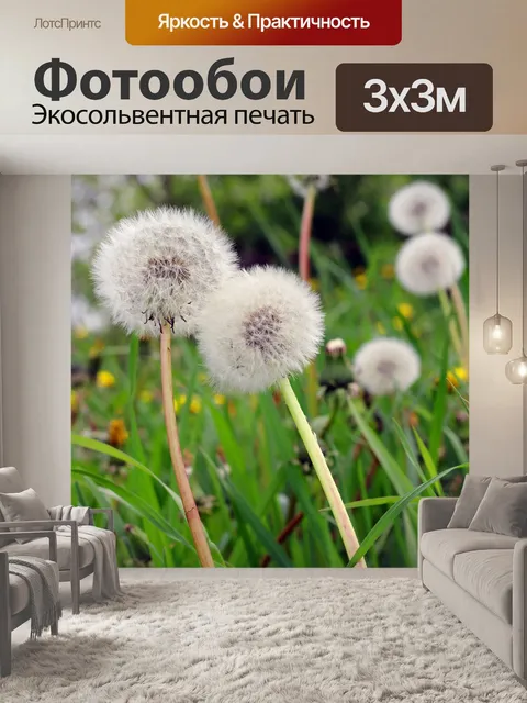 Фотообои Одуванчик